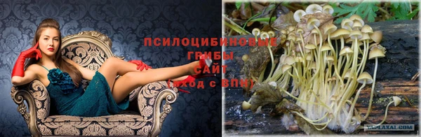 амфетамин Инсар